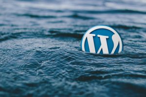 Casi 1 millón de sitios de WordPress bajo ataque debido a la imagen de complementos vulnerables