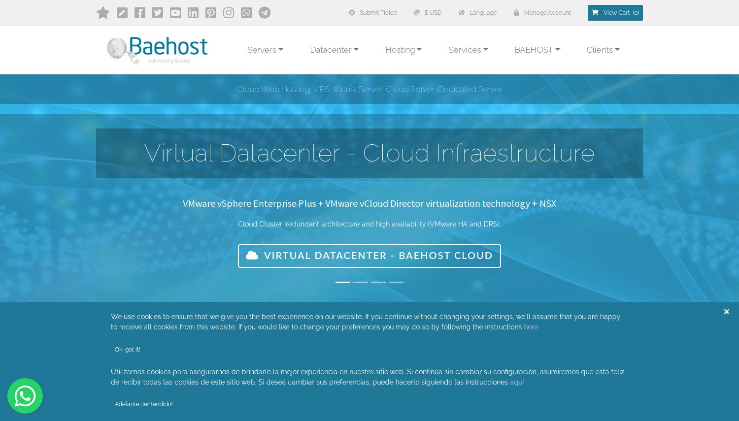 Baehost Web Hosting &amp; Cloud snapshot from January 2024